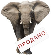 Кто продаст слона, или как выбрать продажника.