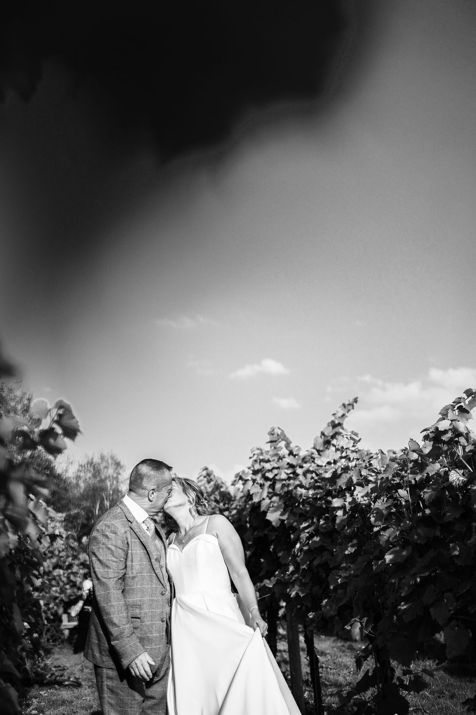 A black and white photo of a bride and groom just married. Setting is outside in nature, in a vineyard, in the UK