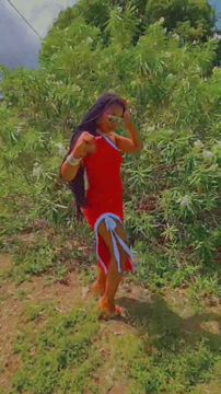 Miniature : AN VLÉ