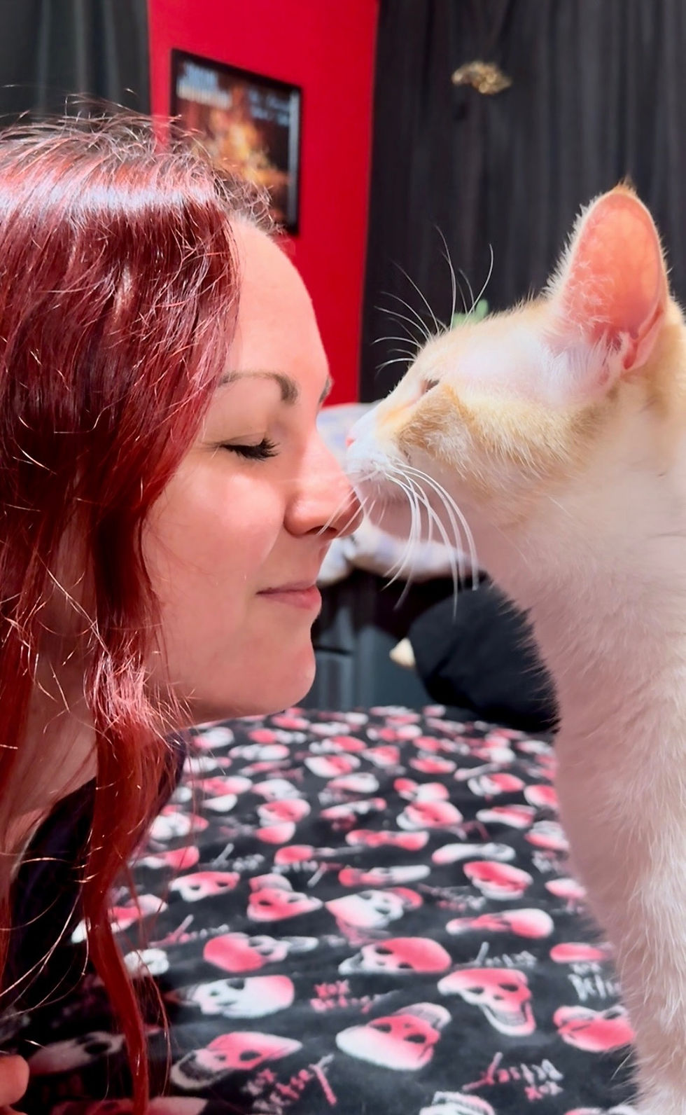 Understanding Cats: Why Professional Cat Sitting Is More Than Just Liking Cats