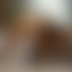 the Advantages of Professional Pet Sitting