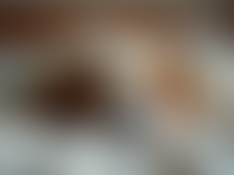 The Importance of Pet First Aid certification