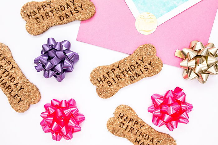 Happy Birthday Dog Biscuit - 1.jpg