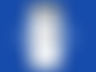 Wix Bookings mobile app showing online appointment scheduling and booking system for service businesses in Tasmania