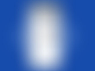 Wix Bookings mobile app showing online appointment scheduling and booking system for service businesses in Tasmania