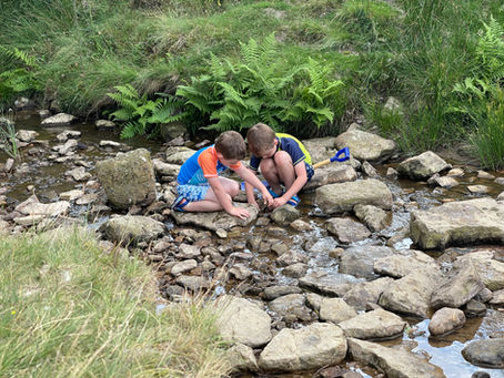 Playing in the beck