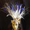 Thumbnail: White & Navy Blue Feather, Tapa & Lauhala Headband Headpiece (HINATEA)