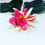 Thumbnail: Hawaiian double pink Orchid Flower hair clip 