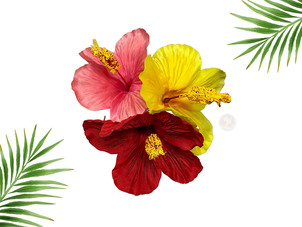 Thumbnail: Tropical Hibiscus Flower