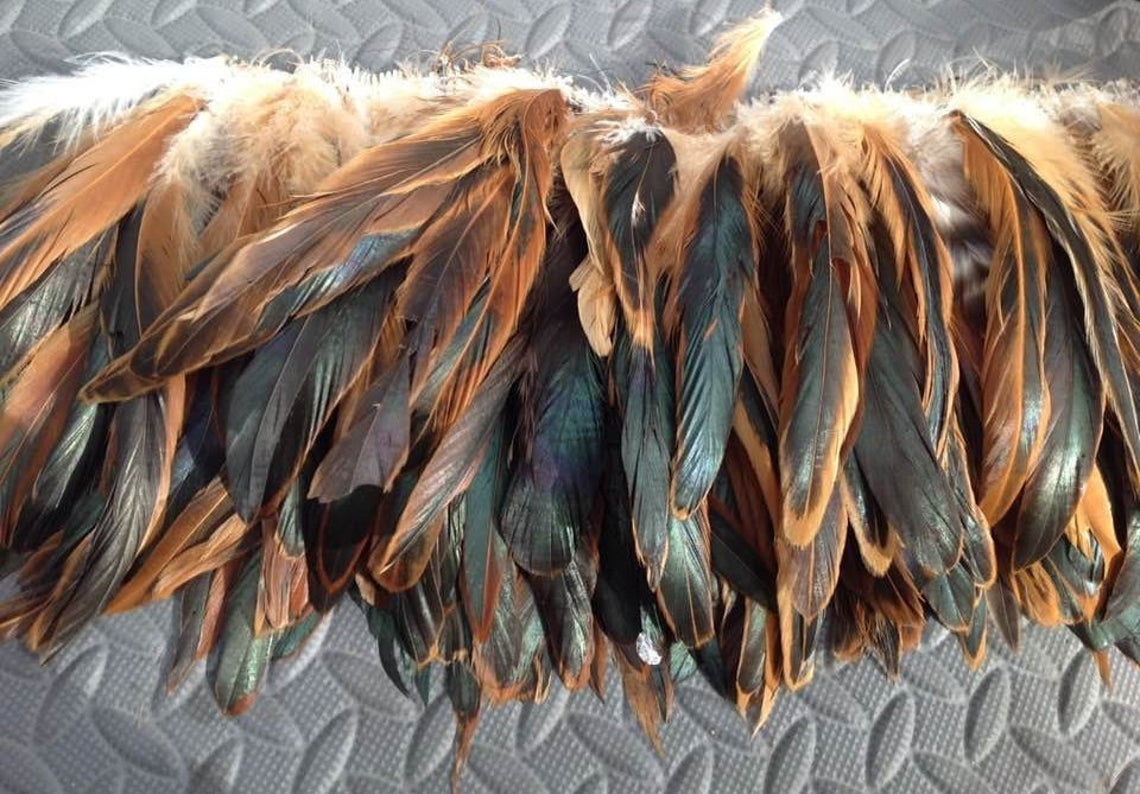 6-8" BRONZE ROOSTER Tail Feathers