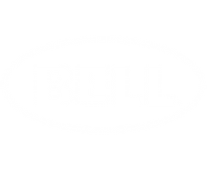 bell logo.png
