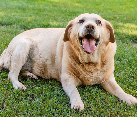 9B5hxhuPjLngBHQPLgslFD++PkP_StRl2ObeGJSXrjOvmcN0k5rbpFMWTfzZWsiv6bqoQgi9Fh9n9owXuca+5hnMRJ