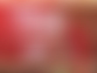 Meet Extraordinary 登峰造極唯有奔富