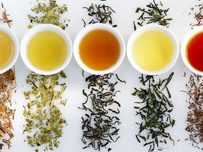 台灣茶分類方式