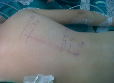 IMG00494-20121031-1003 - copia.jpg