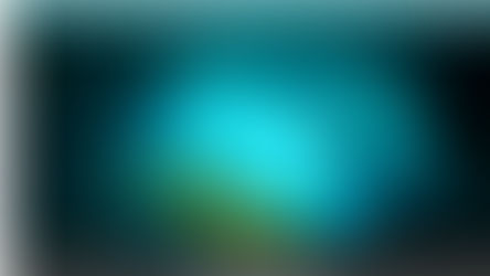 Initial VISION (Priorities & Future Implications) - Consolidated Report