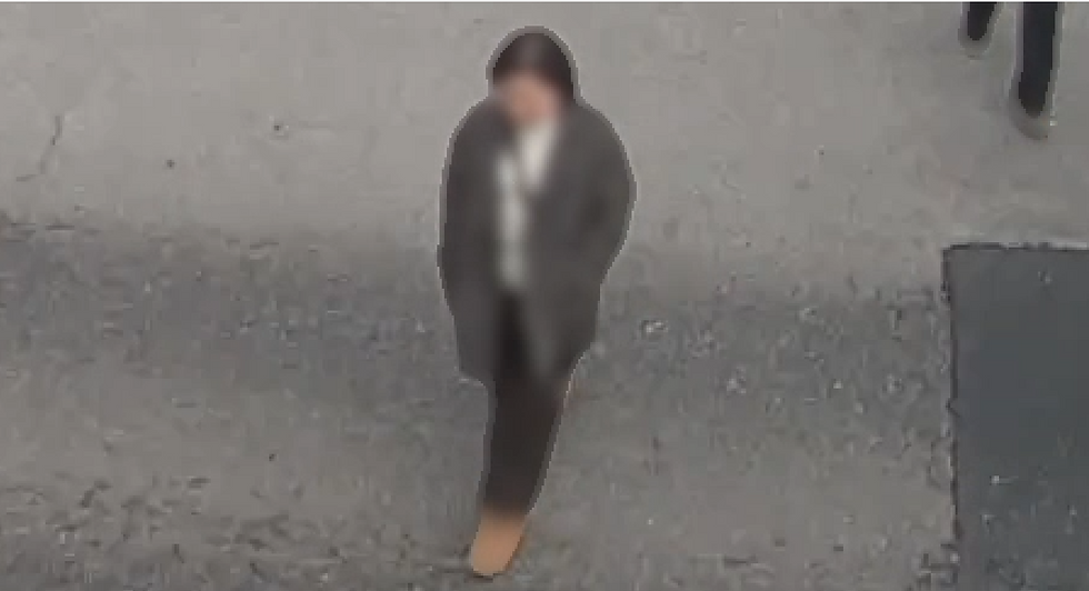 블러처리된 보행자의 모습