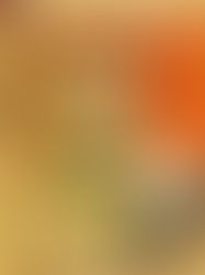 L'homme qui lisait des livres de Rachid Benzine