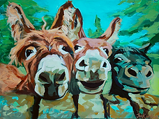 Three cute donkeys with their head on irish stone wall