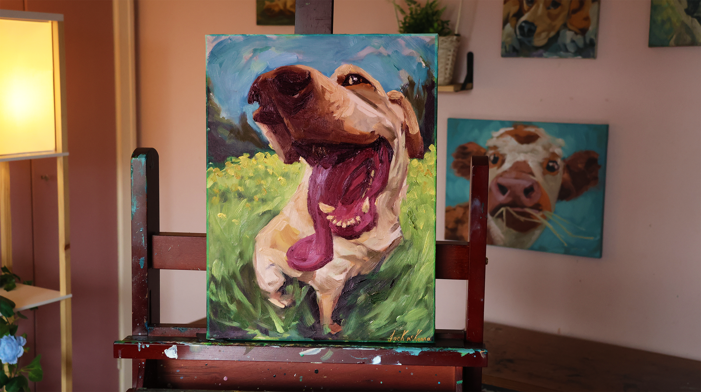 labrador dog in a field with his tongue sticking out on a sunny day outside in the grass