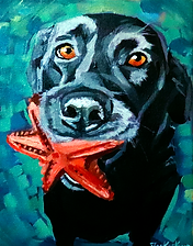 Original painting of black Labrador with a toy starfish in mouth