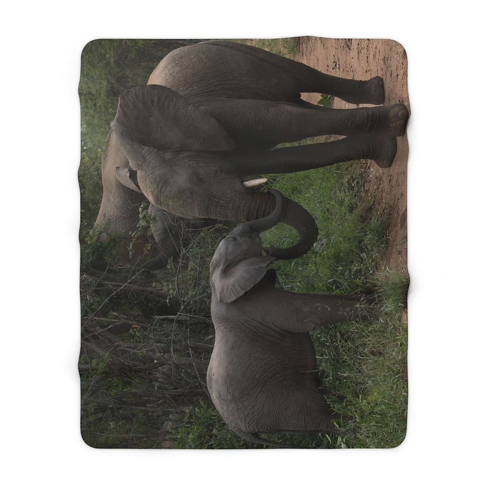 Thumbnail: Cozy Sherpa Fleece Blanket with Elephant Design