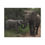 Thumbnail: Heartwarming Elephant Family Canvas Print