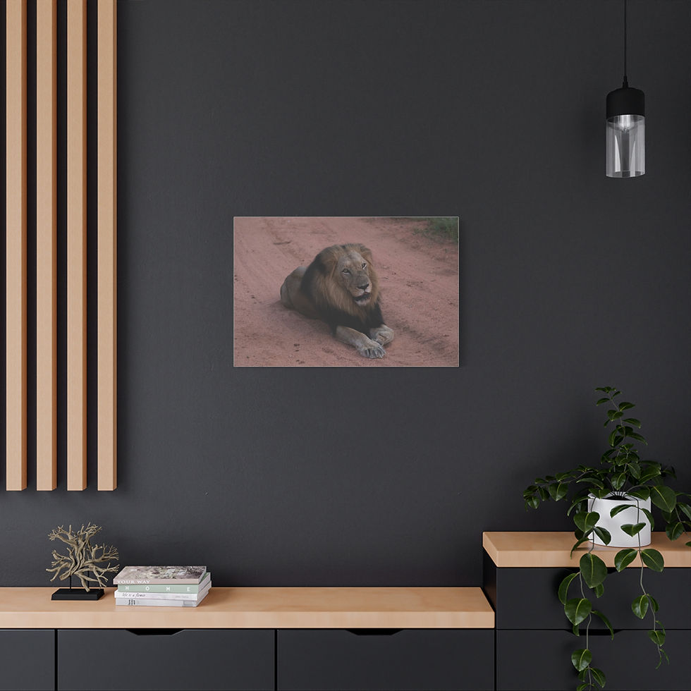 Thumbnail: Majestic Lion Canvas Print