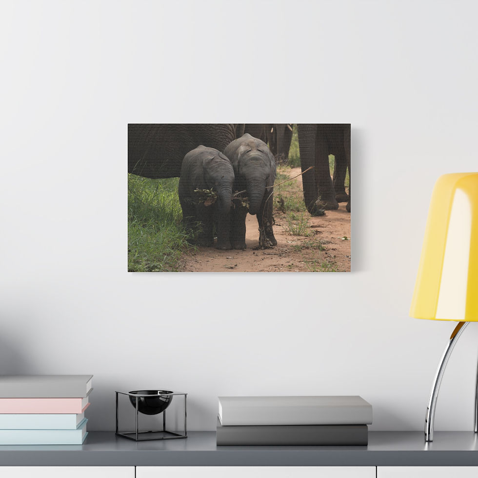 Thumbnail: Elephant Family Wall Art, Nursery Decor, Nature Photography
