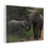 Thumbnail: Heartwarming Elephant Family Canvas Print