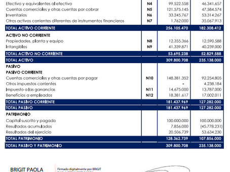 ESTADOSFINANCIEROS LUISA FERNANDA SARAY IPS SAS 2025 - 2024