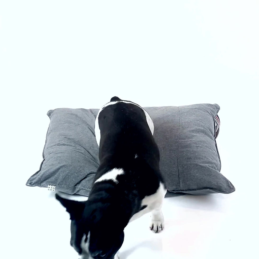 Miniatura: cama flat