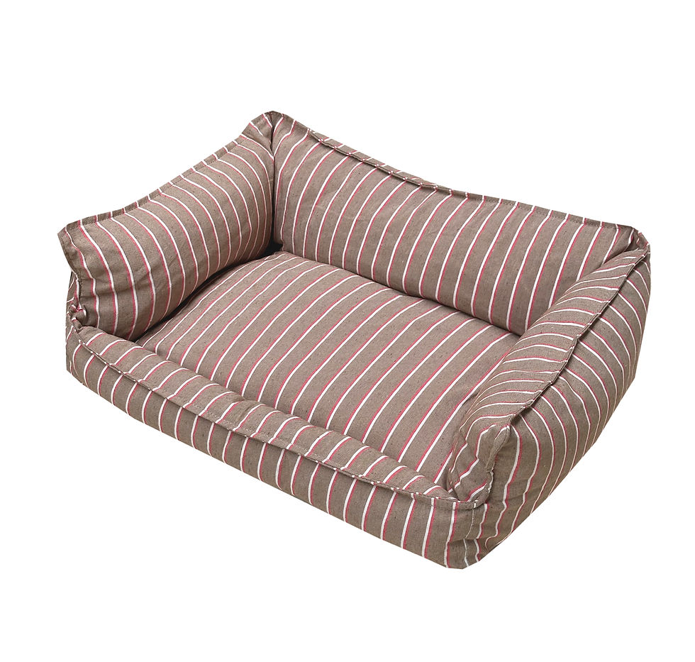 Miniatura: cama chop