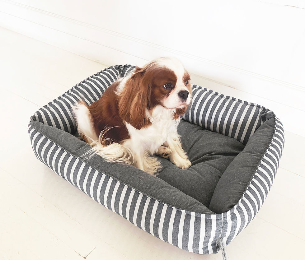 Miniatura: kit: cama básica +colchonete slim