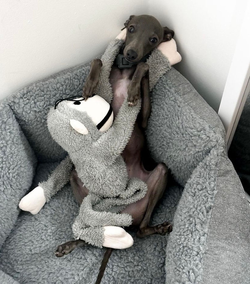 Miniatura: cama hexa