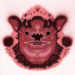 Pink Wrinkle-faced Bat