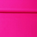Fuchsia.jpeg