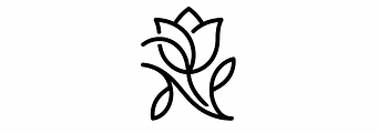 logo sem fundo preto.png