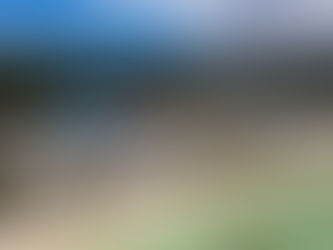 Market Update: Pacific Region Risk Trend