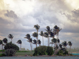 Navigating Typhoon Season: Is Your Insurance Ready?