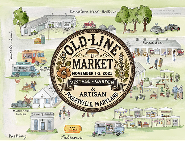 Discount Combo Ticket