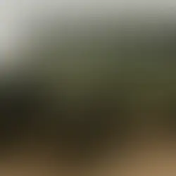 El hombre del Land Rover - V