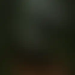 El hombre del Land Rover - VI