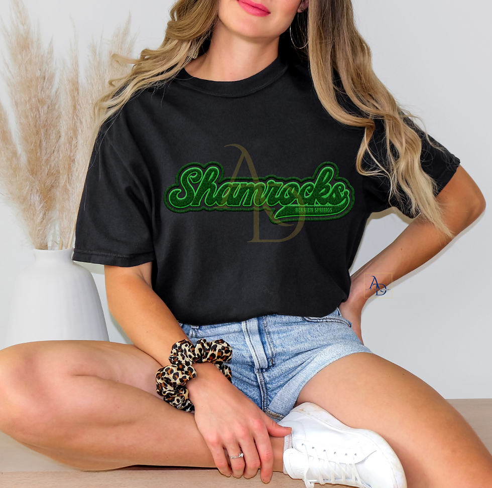 Faux Chenille Patch T-Shirt Berrien Springs Teams