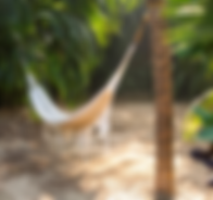 Screenshot-2025-05-30-at-18.14.39.png