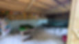 PXL_20260422_092000541.MP~2.jpg