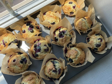 Blueberry Muffins 