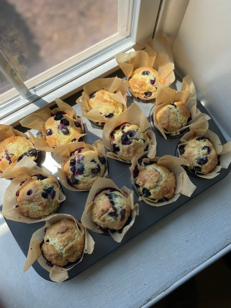 Blueberry Muffins