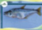 ree