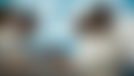 WHF realiza pesquisa sobre implementação clínica da prevenção secundária em locais com recursos limitados